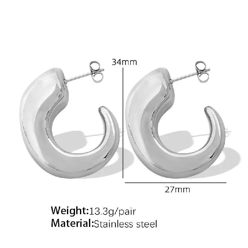 Eh231 Large Silver Earrings