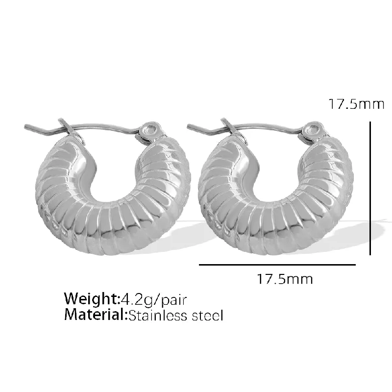 Eh252 Silver Earrings