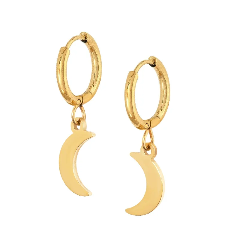 Chic Drop Earrings-Spirit Hoop Earrings